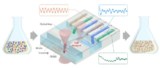 Microfluidic chip