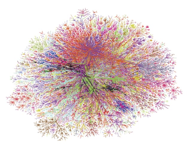 A map of some 100,000 Internet routers and the physical connections between them
