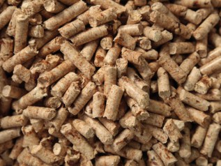 Biomass energy: green or dirty? – Physics World