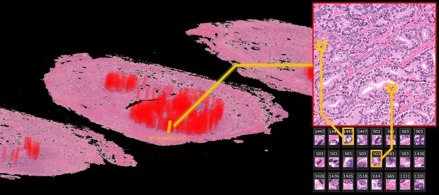 Automatically annotated image