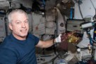 Space lettuce