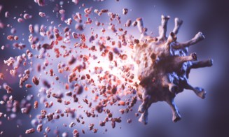 Coronavirus breaking into pieces