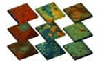 Optical fluorescence scans