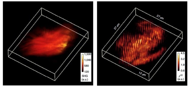 Harmonic optical tomography