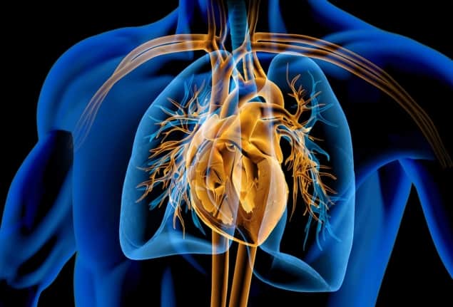 Caution required when balancing lung versus heart radiotherapy dose ...