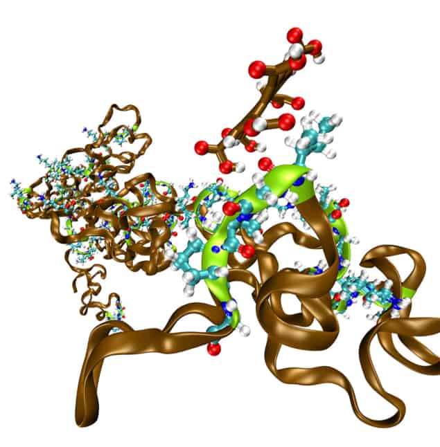 Molecular dynamics simulation