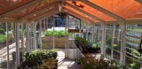 Orange greenhouse