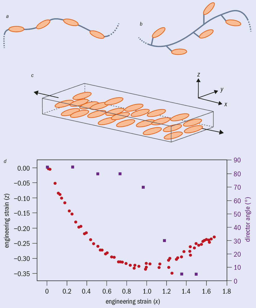 Auxetic behaviour in liquid-crystal elastomers