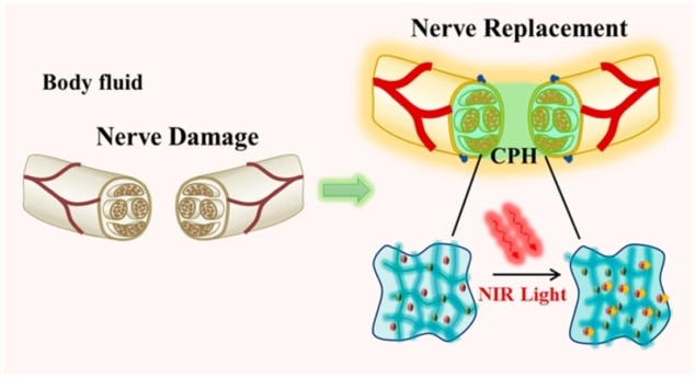 Conducting polymer hydrogel