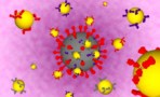 SARS-CoV-2 and functionalized gold nanoparticles