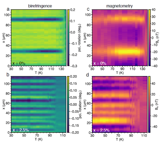 Graph of the sample's birefringence and magnetic field domains show order at temperatures below the transition temperature and disorder above it