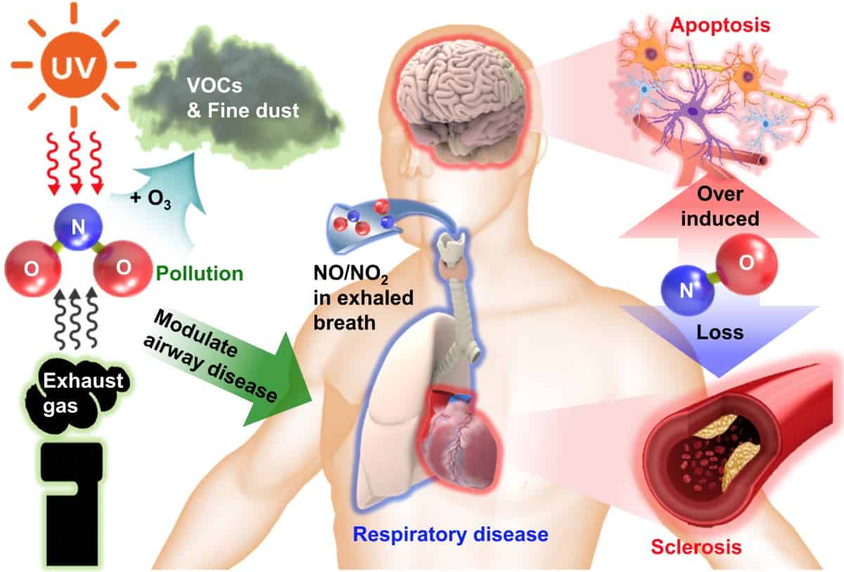 Nitric oxide