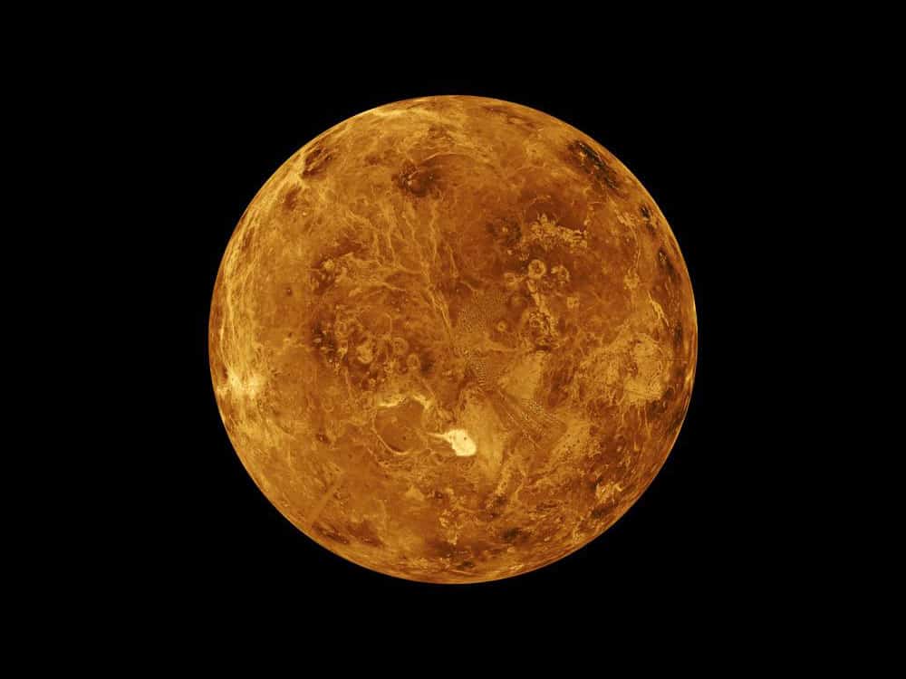 Venus-Pic.jpg