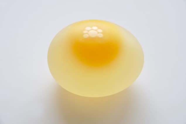 Egg yolk and white