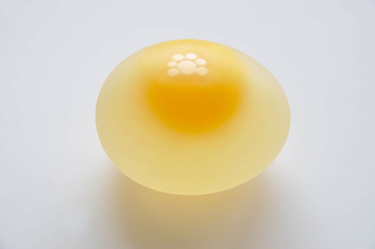 Accelerated egg yolks shed light on brain injuries – Physics World