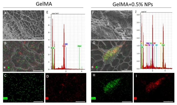 Bioink Formulations For Bone Tissue Regeneration – DQVT