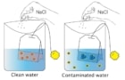 Arsenic sensor