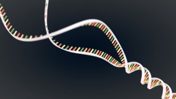 Illustration of a DNA strand
