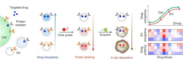 The ExoSCOPE platform