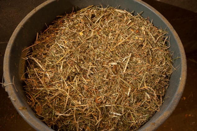 Cattle feed