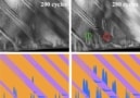 Transmission electron microscope images of a ferroelectric material