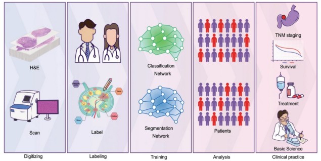 Research workflow