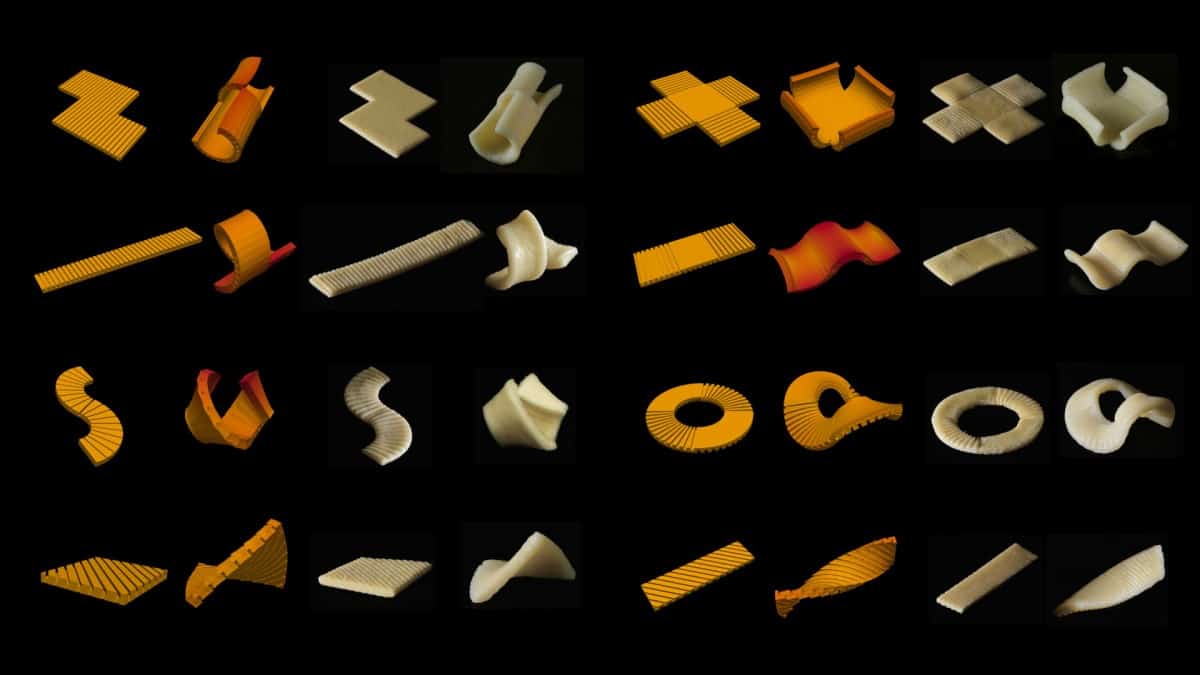 Image: 'Flat-pack pasta' morphs into 3D shapes when cooked