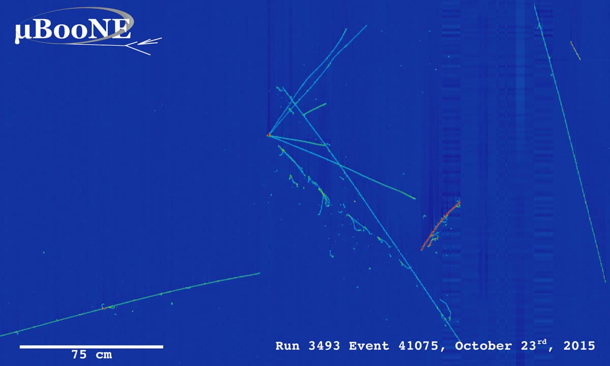 A MicroBooNE neutrino data event