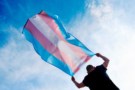 Person waving a trans pride flag