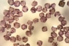 Microdiamonds