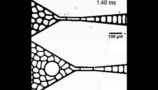 Droplet flow in a microfluidic chip