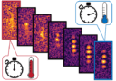 Sequence of seven images taken of dipolar atoms as they cool. Initially, the cloud is relatively warm and atoms in it are uniformly distributed. As it gets colder, peaks emerge as bright spots on the images.