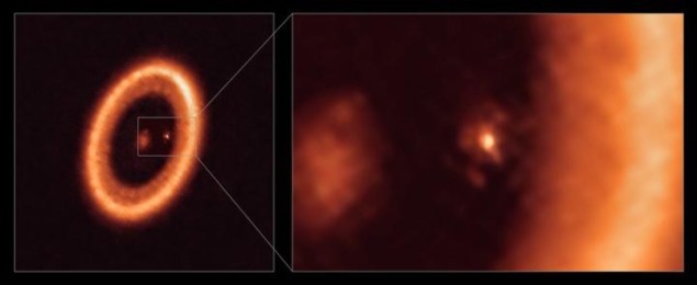 ALMA image of a moon-forming disc