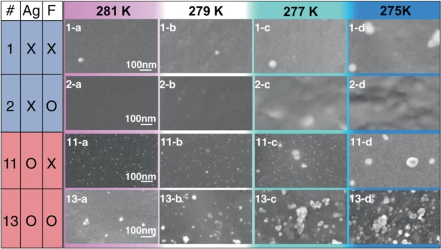 Visualizing crystallization