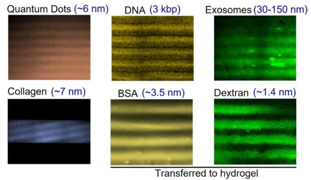 Bio-nanomaterial manipulation