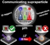 Illustration of the communicating supraparticle