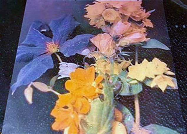 RGB flowers