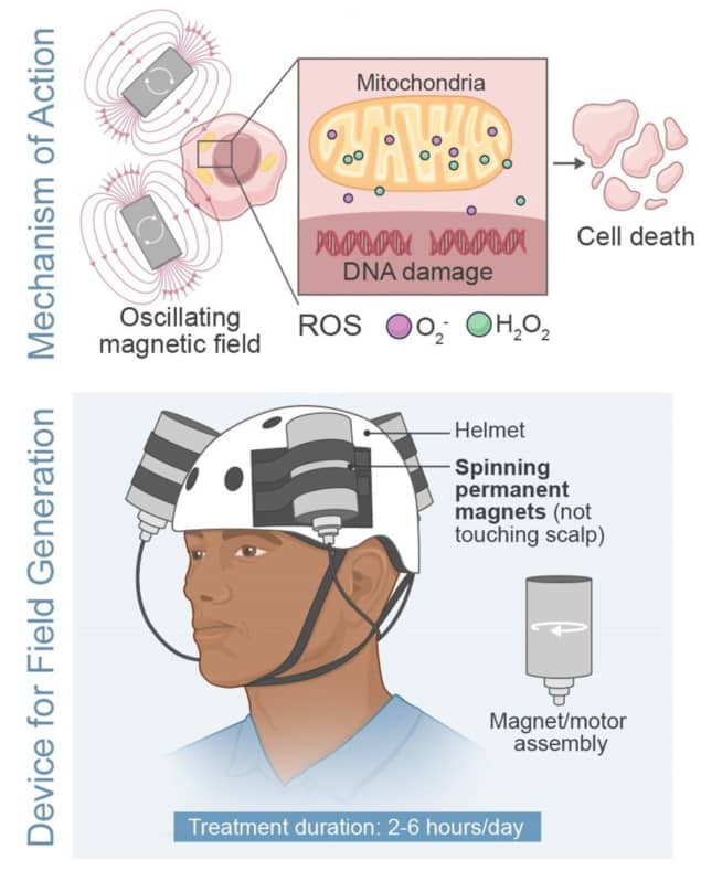 Oncomagnetic device’s proposed mechanism of action