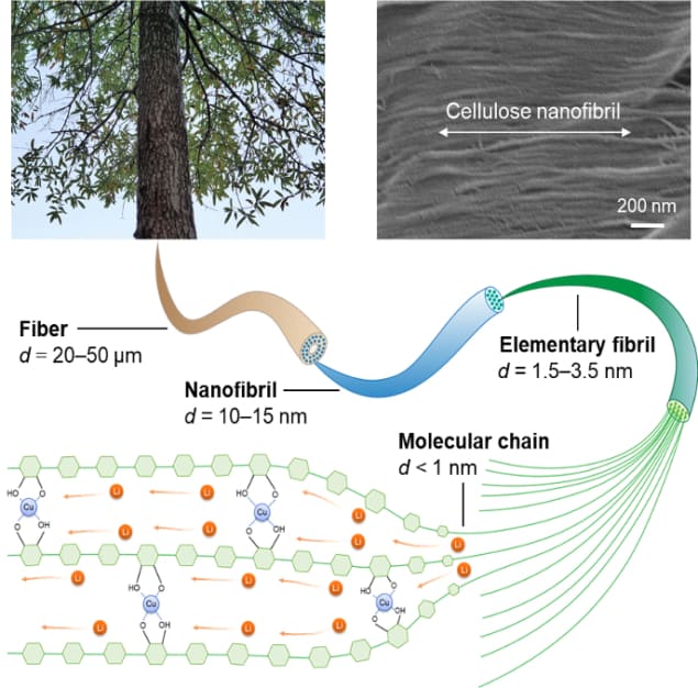 wood-based electrolyte