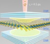 Atomically thin laser