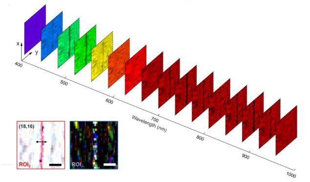 Hyperspectral imaging