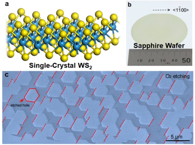 2D tungsten disulphide