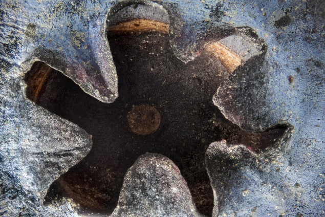 Close-up photo of the bottom of a blueberry Close-up photo of the bottom of a blueberry