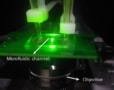 Foto av en mikrofluidisk kanal badet i grønt laserlys under et mikroskop