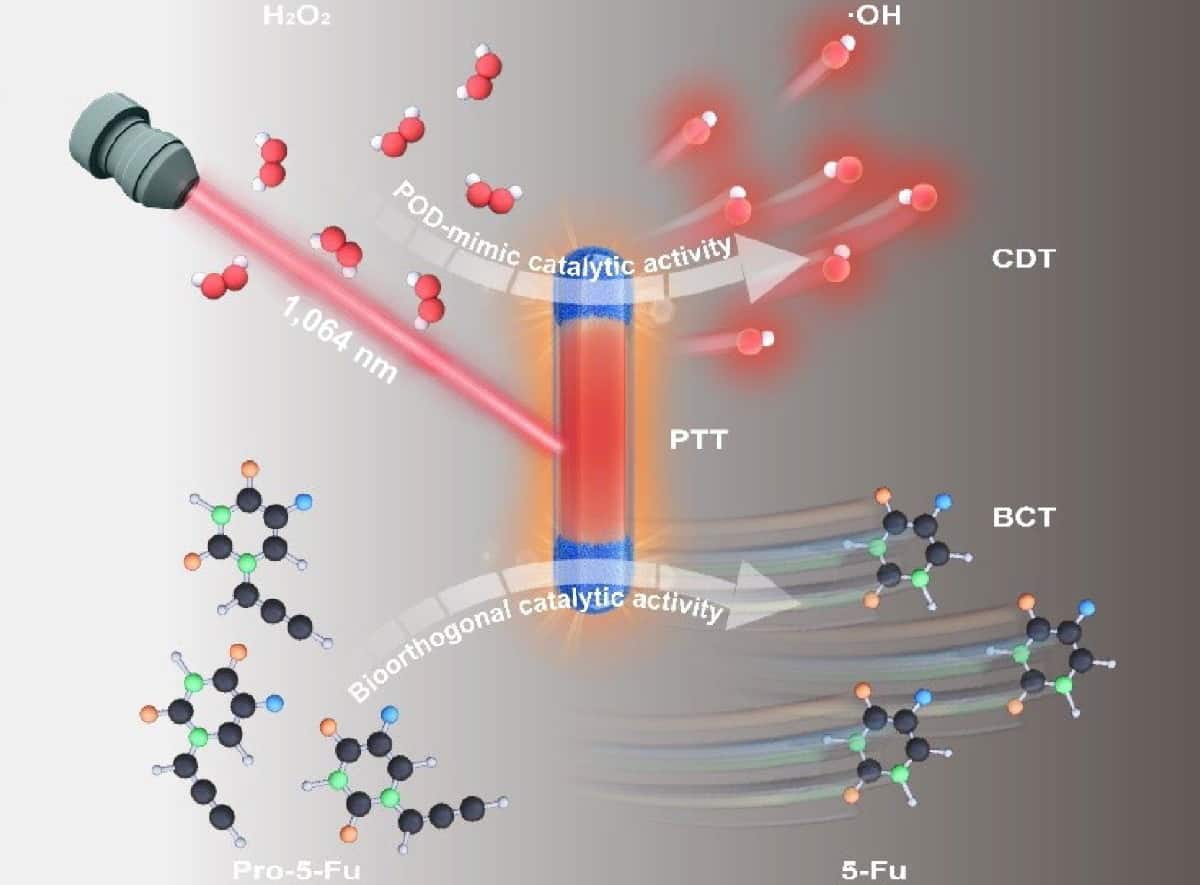 Threeprong photothermal therapy eliminates tumours in mice – Physics