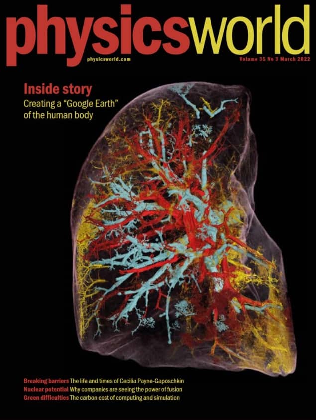 Cover of the March 2022 issue of Physics World shows a lung created by researchers at the European Synchrotron Radiation Laboratory as part of a project to create a zoomable "Google Earth" of the human body.