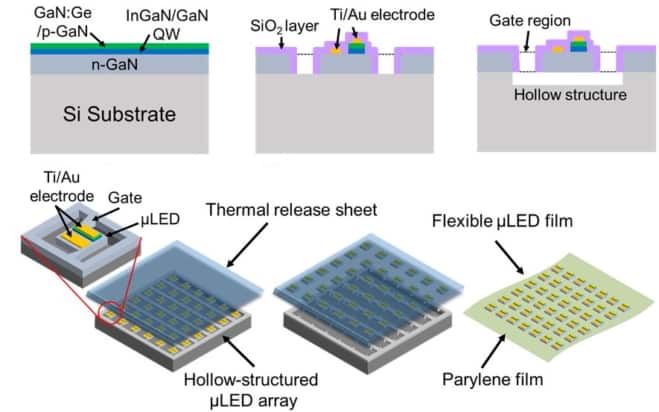 Ultrathin implantable microLED array illuminates the brain – Physics World