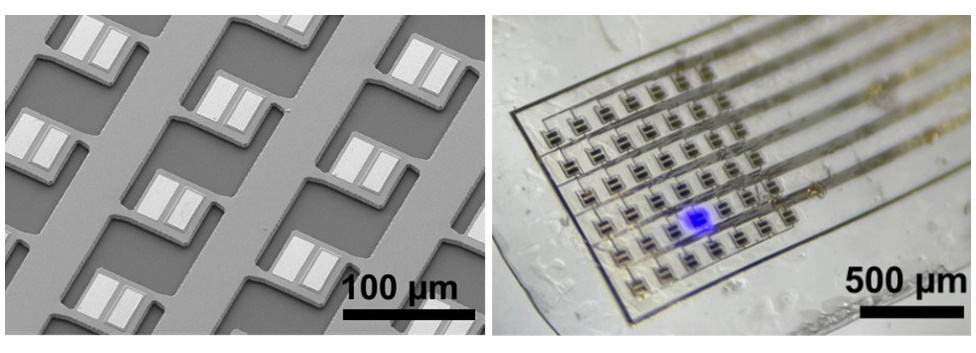 Ultrathin implantable microLED array illuminates the brain – Physics World