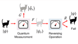 Diagram showing the quantum measurement process with each possible outcome represented by the outline of a cat