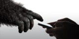 Gorilla finger touching phone screen